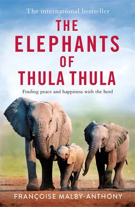 The Elephants of Thula Thula (Paperback)