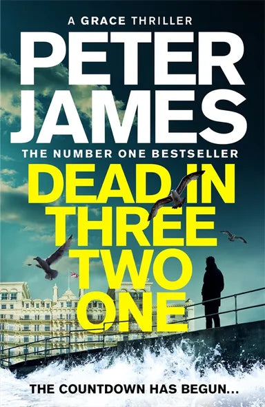 Roy Grace 22: Dead in Three Two One (Trade Paperback)