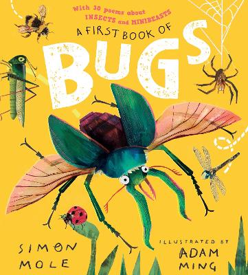 A First Book Of Bugs (Paperback)