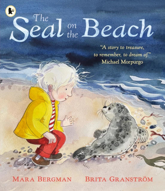 Seal On The Beach (Paerback)