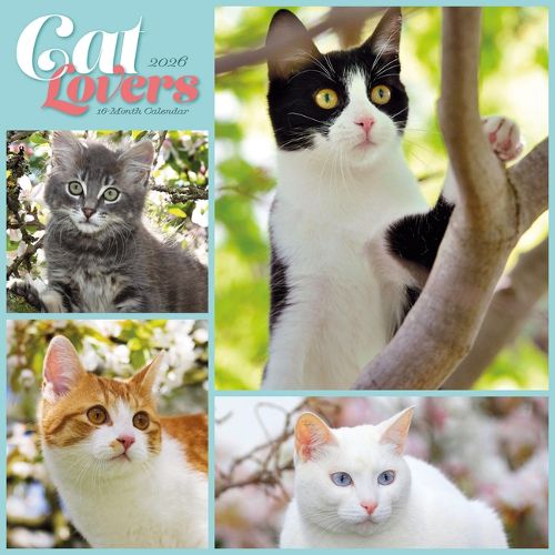 Cat Lovers 2026 Wall Calendar