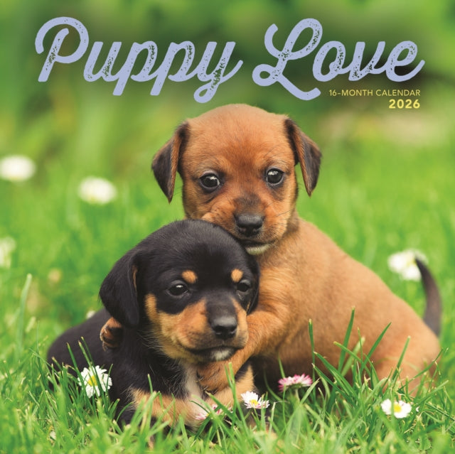Puppy Love 2026 Wall Calendar