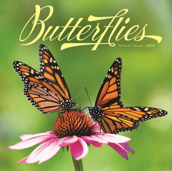 Butterflies 2026 Wall Calendar