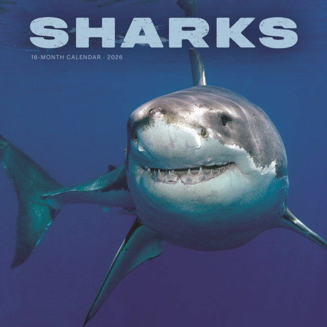 Sharks 2026 Wall Calendar