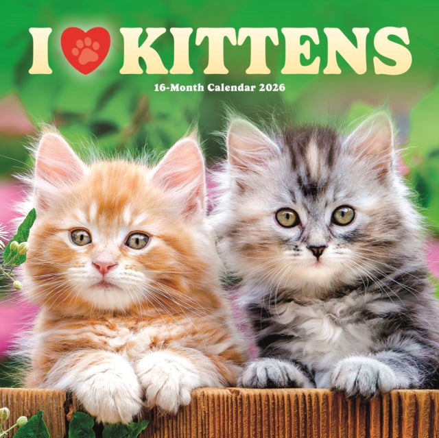 I Love Kittens 2026 Wall Calendar