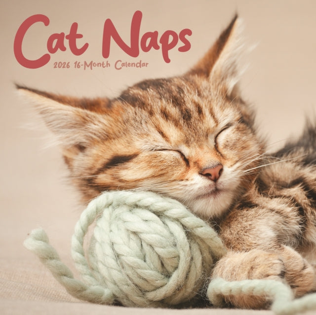 Cat Nap Wall Calendar 2026