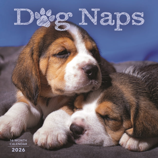 Dog Naps 2026 Wall Calendar