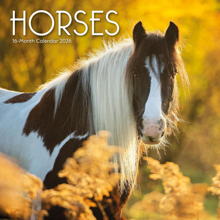 Horses 2026 Wall Calendar