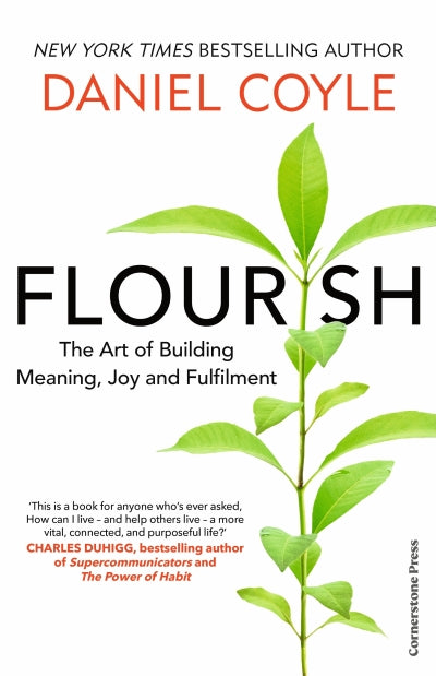 Flourish: The Art of Building Meaning, Joy and Fulfilment (Trade Paperback)