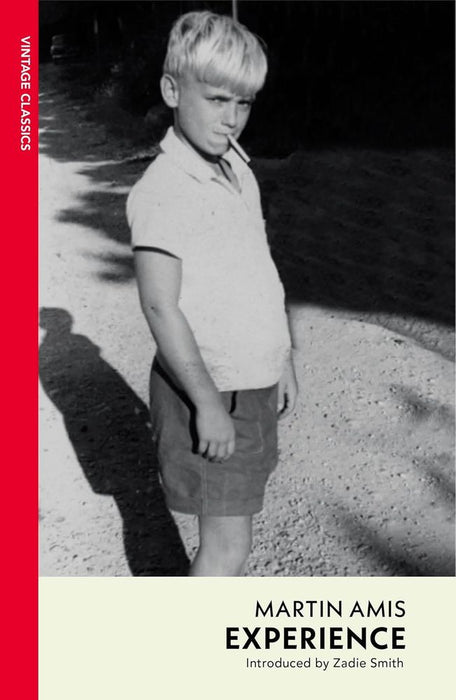 Experience (Paperback)