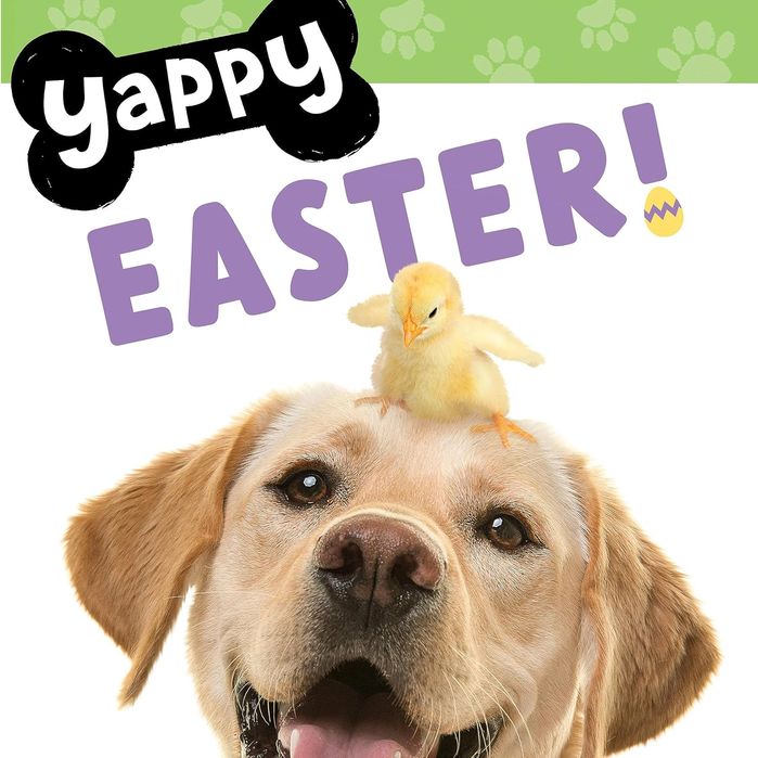 Yappy Easter! (Board Book)