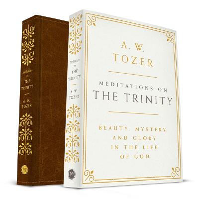 Meditations On The Trinity (Hardcover)