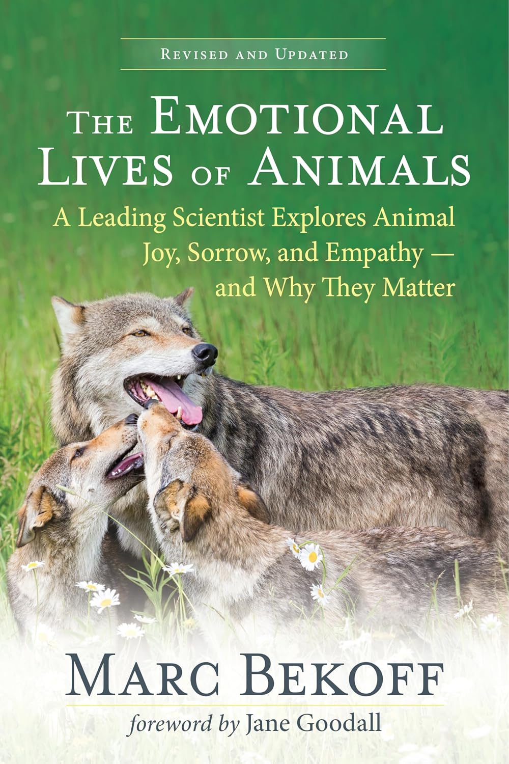 The Emotional Lives Of Animals - Revised And Updated Edition (Paperback)