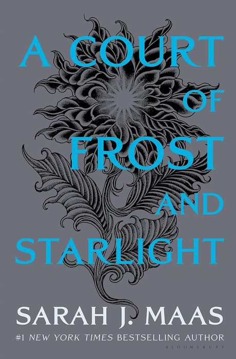 A Court of Frost and Starlight (Hardcover)