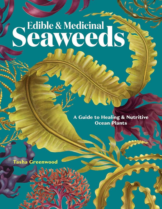Edible & Medicinal Seaweeds (Trade Paperback)