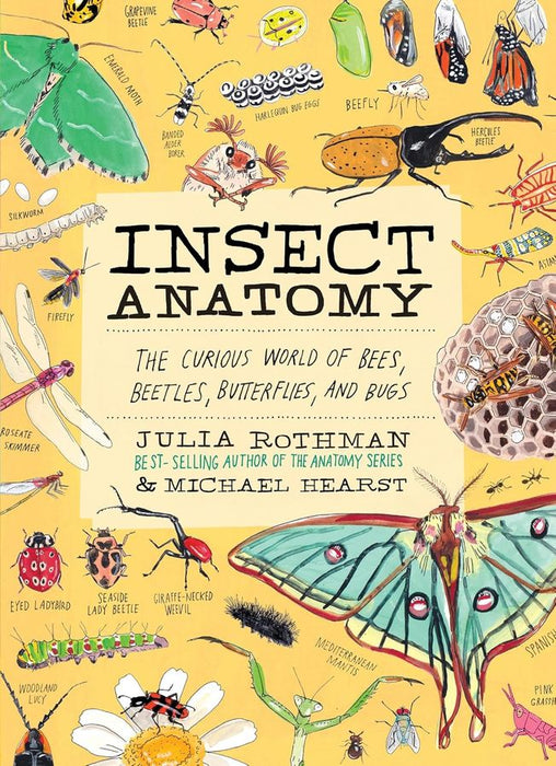 Insect Anatomy: The Curious World of Bees, Beetles, Butterflies, and Bugs (Paperback)