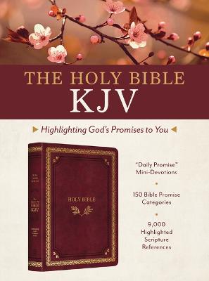 Holy Bible: KJV Highlighting God's Promises to You - Crimson & Gold