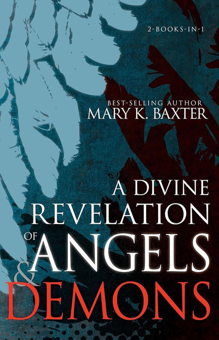 A Divine Revelation of Angels & Demons (Paperback)