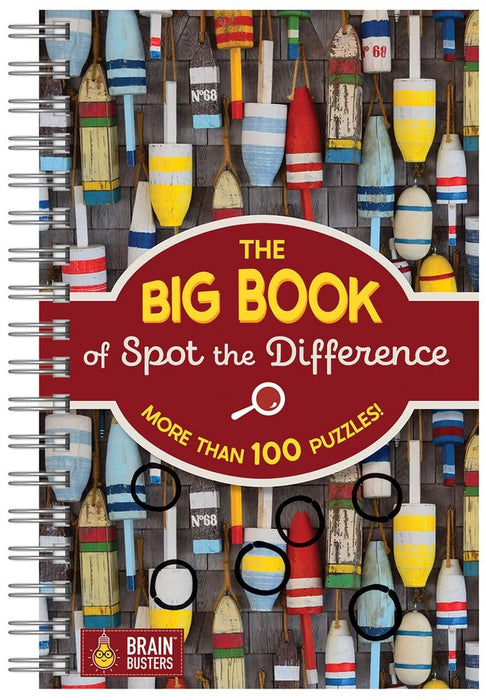 The Big Book of Spot The Difference