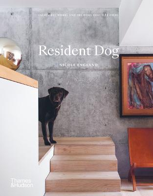 Resident Dog HB