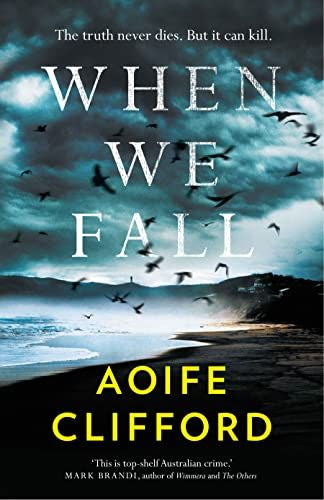 When We Fall (Paperback)