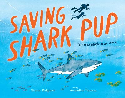 Saving Shark Pup (Hardcover)