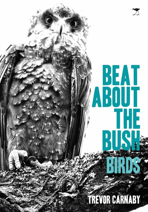 Beat about the bush Birds