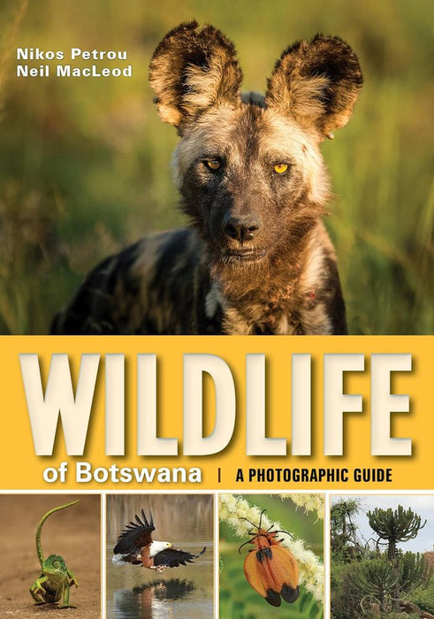 Wildlife of Botswana: A Photographic Guide (Paperback)