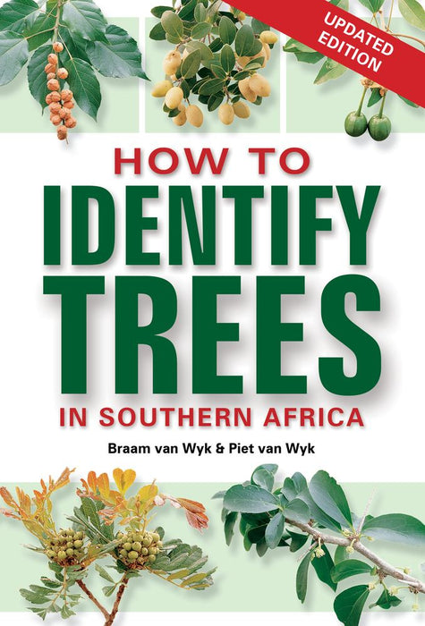 How to Identify Trees in Southern Africa (Paperback)