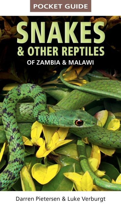 Pocket Guide To Snakes & Other Reptiles Of Zambia And Malawi (Paperback)