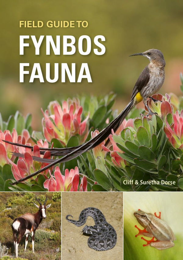 Field Guide To Fynbos Fauna (Paperback)