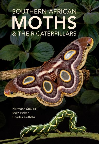 South African Moths & Their Caterpillars (Paperback)