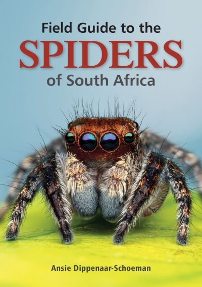 Field Guide To The Spiders Of South Africa (Paperback)