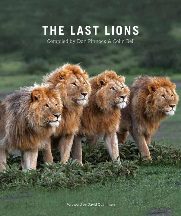 The Last Lions (Flexicover)