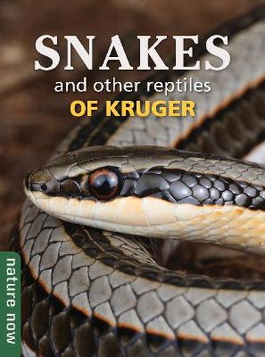 Snakes & other Reptiles of Kruger (Paperback)
