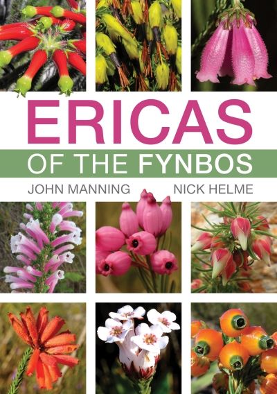 Ericas of the Fynbos (Paperback)