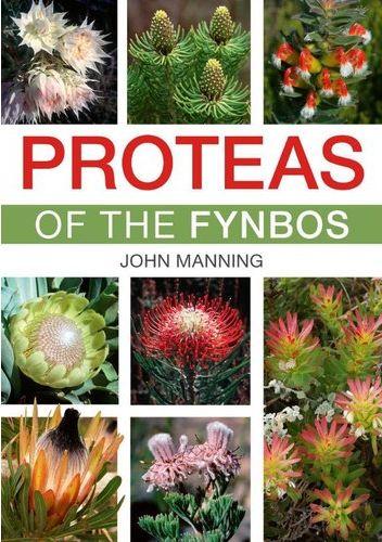 Proteas Of The Fynbos (Paperback)