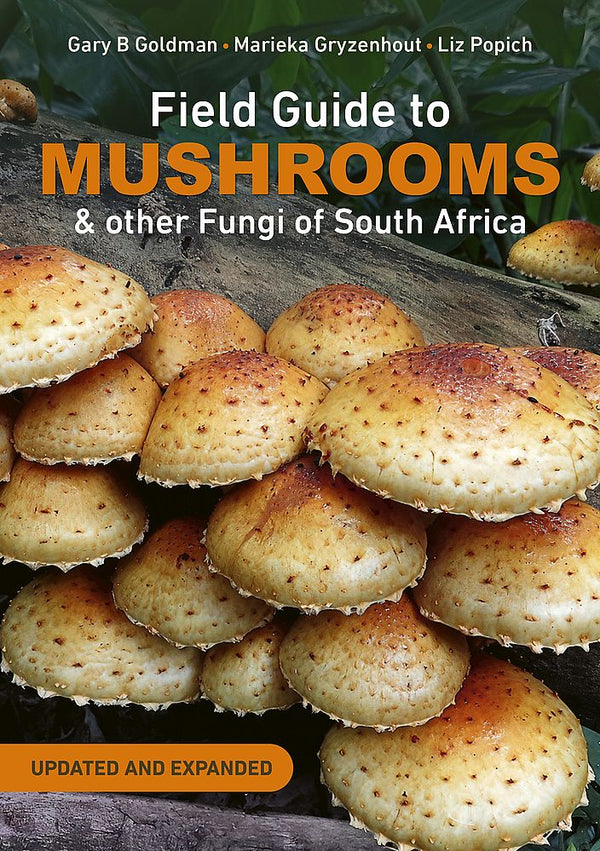 Field Guide Mushrooms & Other Fungi Of South Africa (Paperback)