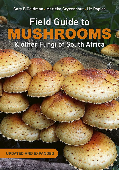 Field Guide to Mushrooms & other Fungi of South Africa: New Edition (Paperback)