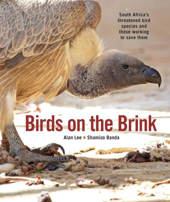 Birds on the Brink (Paperback)