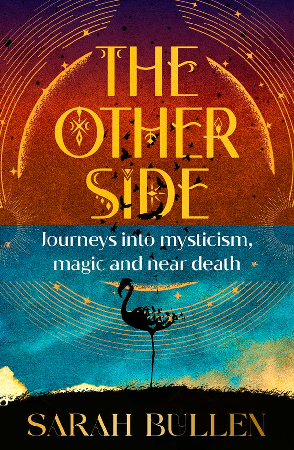The Other Side (Trade Paperback)