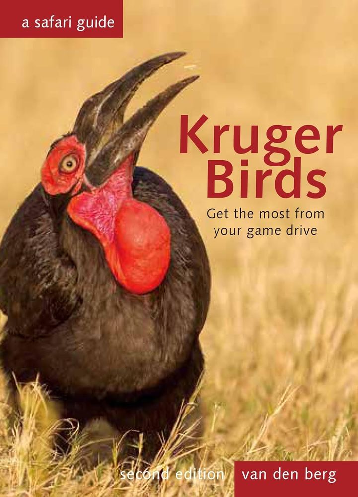 Kruger Birds - A Safari Guide (Revised 2nd Edition) (Paperback)