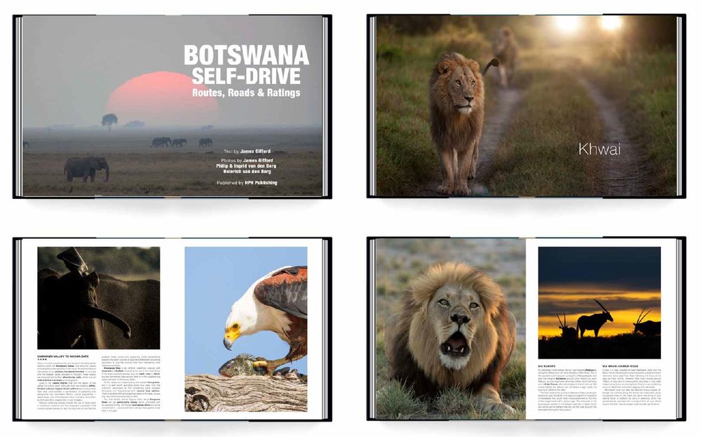 Botswana Self-Drive: Routes, Roads and Ratings (Hardcover)