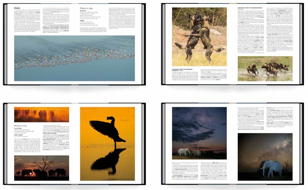 Botswana Self-Drive: Routes, Roads and Ratings (Hardcover)