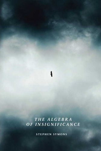 The Algebra Of Insignificance (Paperback)