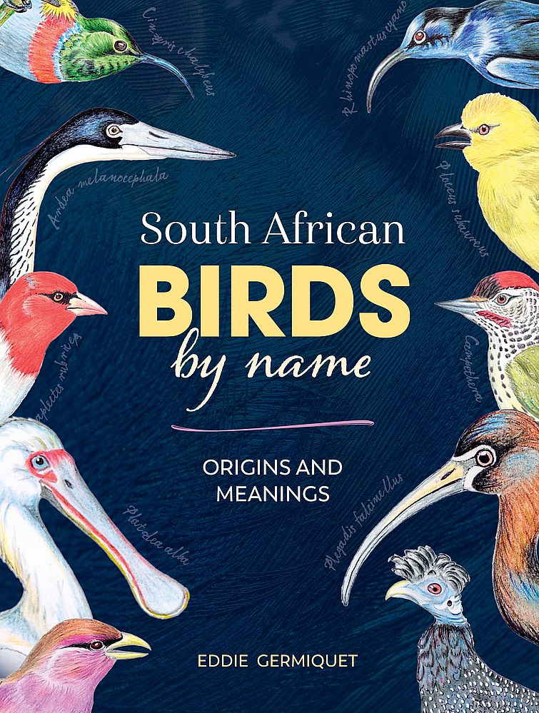 South African Birds by Name: Origins and Meanings (Hardcover)