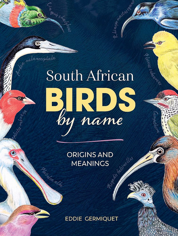 South African Birds by Name: Origins and Meanings (Hardcover)