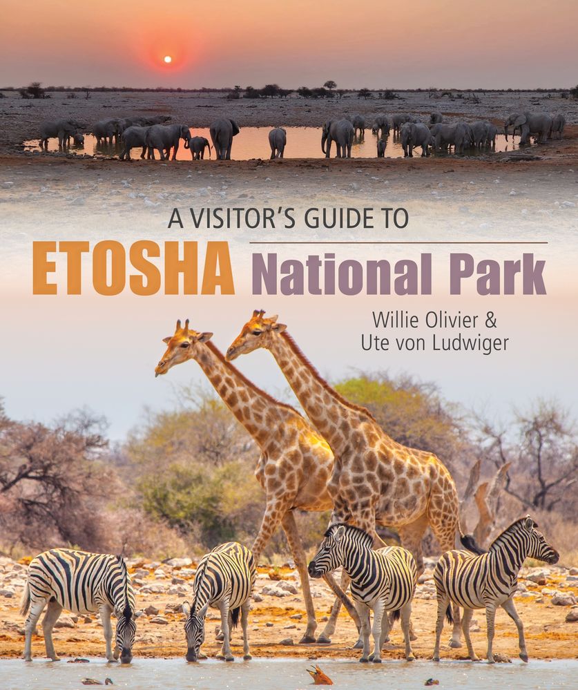 A Visitor's Guide To Etosha National Park (Trade Paperback)
