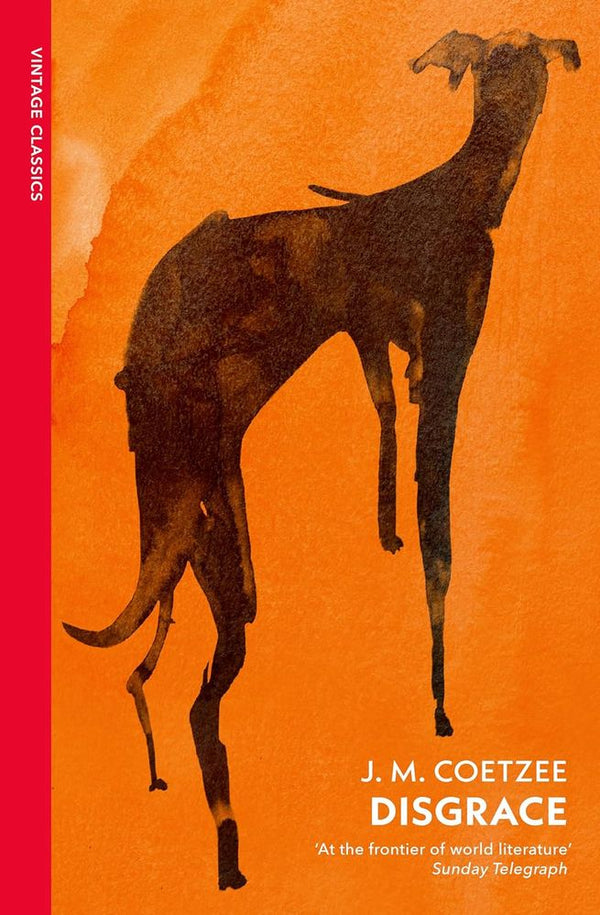 Disgrace (Paperback)