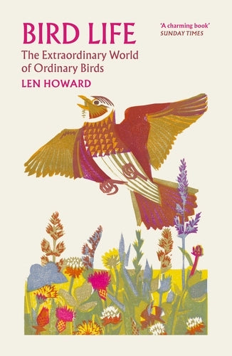 Bird Life: The Extraordinary World of Ordinary Birds (Paperback)